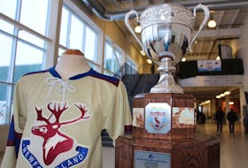 The Beaumont Hamel Centennial Cup was donated by the Holy Spirit Falcons and first competed for in 2016.