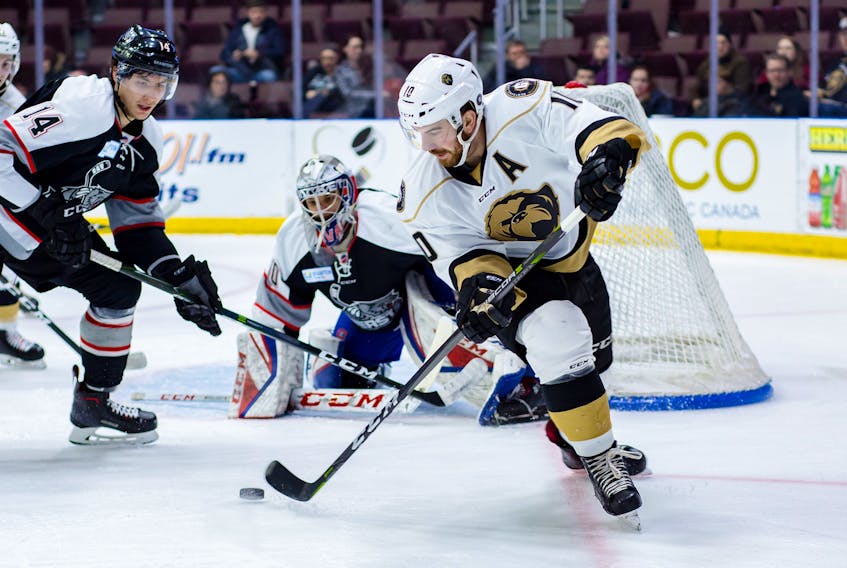 Zach O'Brien (10), the leading scorer and MVP for the Newfoundland Growlers in 2019-19, as well as the most valuable player of the ECHL playoffs, has signed a new AHL contract to remain within the Toronto Maple Leafs' organization. — Newfoundland Growlers photo/Jeff Parsons