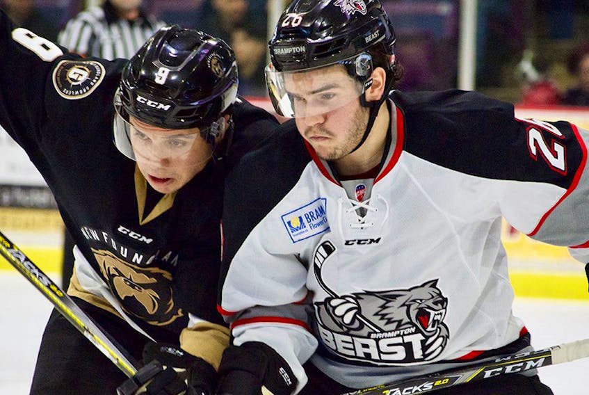 Brampton Beast/Twitter - Wingers Marcus Power of the Newfoundland Growlers, left, and Anthony Beauregard of the Brampton Beast jostle for position on a faceoff in an ECHL game in Brampton Sunday.