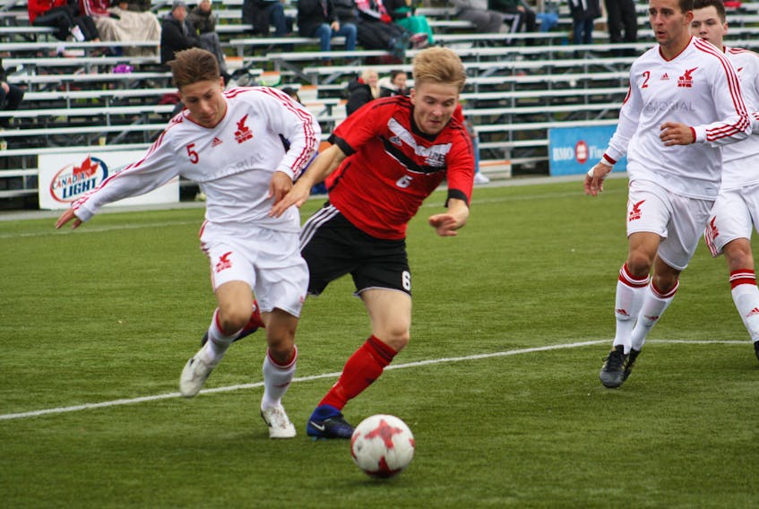 Sean Henderson (5) of the Memorial Sea-Hawks and Ben Gorringe (6) of the University of New Brunswick Varsity Reds chase down a ball as Memorial's Michael O'Brien (2) looks on during AUS men’s soccer action at King George V Park in St. John’s earlier this season. The Sea-Hawks and Varsity Reds, who split their two regular-season meetings, square off in a playoff quarter-final match this afternoon in Sydney, N.S.