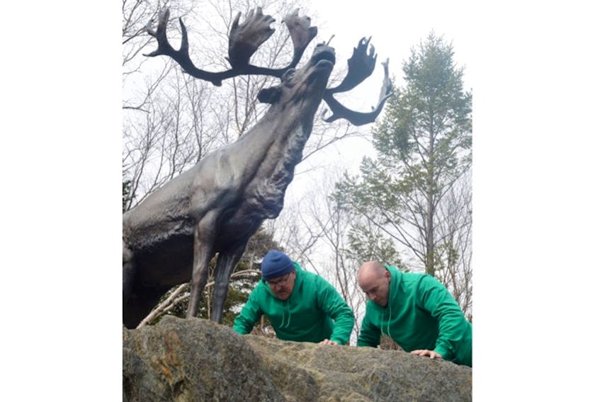 The countdown is on. Bill Guiney (left) and Paul Fifield, manager of corporate services for the Canadian Mental Health Association Newfoundland and Labrador Division, are cracking off pushups to start the 100-day challenge at the base of the Caribou statue, an emblem of strength not only here but around the globe.