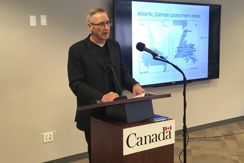 Department of Fisheries and Oceans research scientist Geoff Veinott provides a briefing to reporters Monday morning at DFO headquarters on the latest Atlantic salmon stock assessment.
