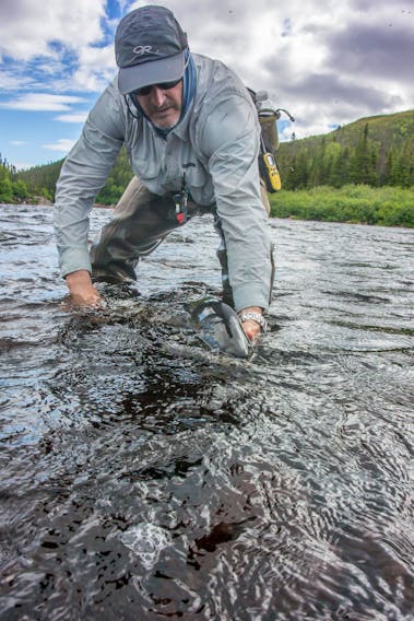 Rod Hale releasing a fish on the Pinware. — Paul Smith photo
