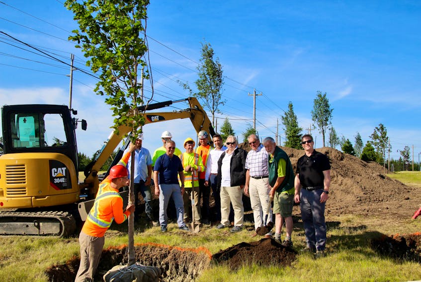 Members of the planting team in Galway: Danny Williams, DewCor; Brian Mercer, Municipal Arborist; John Drover, Chair of the City of St. John’s Environmental Advisory Committee; Neil Dawe, Tract Consulting and Member of the City of St. John’s Environmental Advisory Committee; Bruce Roberts, TreeCanada and Member of the City of St. John’s Environmental Advisory Committee; and Andy Carew, DewCor Project Manager.