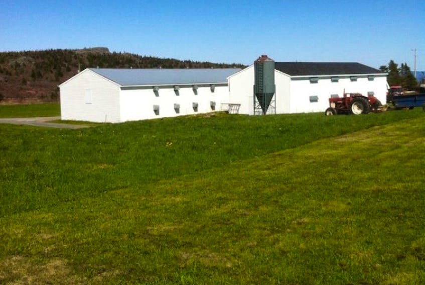 The cannabis production facility will be located at the Noel’s Turkey Farm location in Freshwater. Farm owner Kerry Noel signed a land purchase agreement with Atlantic Island Cannabis on Wednesday.
