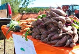 Beets, carrots and onions are three vegetables that are easy to grow in Newfoundland and Labrador. Food First NL is offering grants to help people be self-sustaining by growing their own crops.