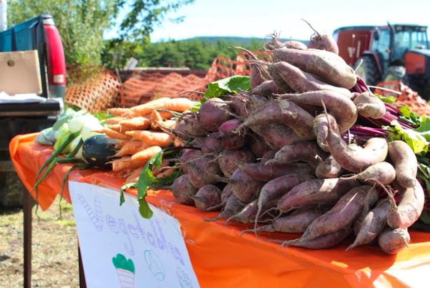 Beets, carrots and onions are three vegetables that are easy to grow in Newfoundland and Labrador. Food First NL is offering grants to help people be self-sustaining by growing their own crops.