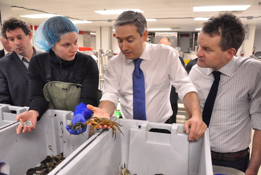 François-Philippe Champagne (second from right), Canada’s minister of International Trade, learns about the invasive green crab from Kiley Best, a biologist with the Marine Institute’s Centre for Fisheries Ecosystem Research.
