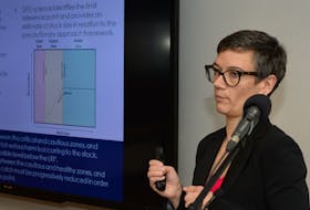 Karen Dwyer, biologist with the Department of Fisheries and Oceans (DFO) groundfish section in St. John’s, briefs members of the media on the latest stock assessment regarding the cod stock in zone 3Ps, off the south coast of Newfoundland, during a presentation at the DFO headquarters in the White Hills Tuesday morning.