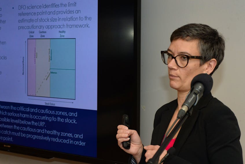 Karen Dwyer, biologist with the Department of Fisheries and Oceans (DFO) groundfish section in St. John’s, briefs members of the media on the latest stock assessment regarding the cod stock in zone 3Ps, off the south coast of Newfoundland, during a presentation at the DFO headquarters in the White Hills Tuesday morning.