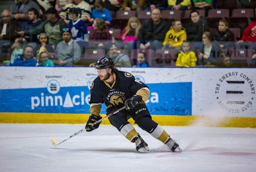 After one season at Boston University, Newfoundland Growlers forward J.J. Piccinich joined the OHL’s London Knights and won a Memorial Cup. The next season, he was named Knights’ captain.