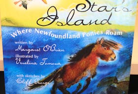 “Star’s Island” by Maggie O’Brien with new illustrations by Veselina Tomova and sketches by Cliff George.