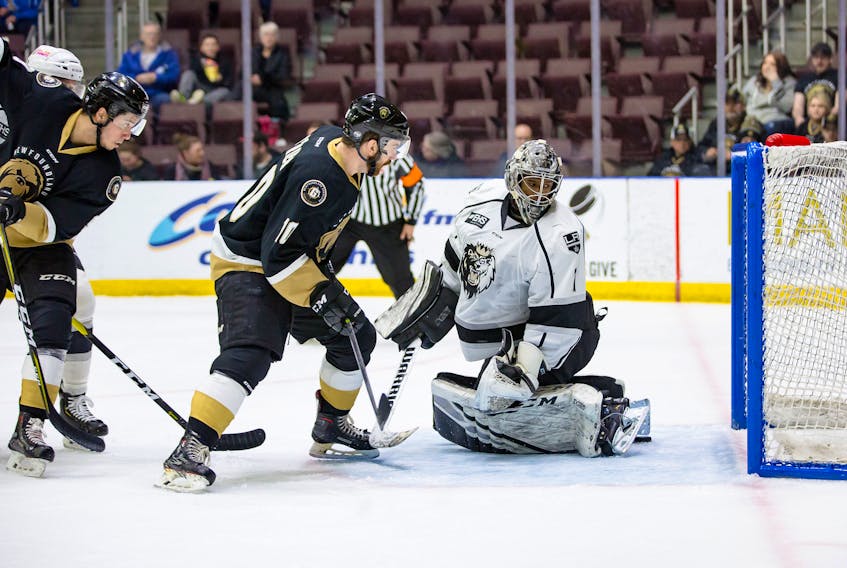 Empty sections are not uncommon at Mile One Centre during the Newfoundland Growlers’ first season in the ECHL.