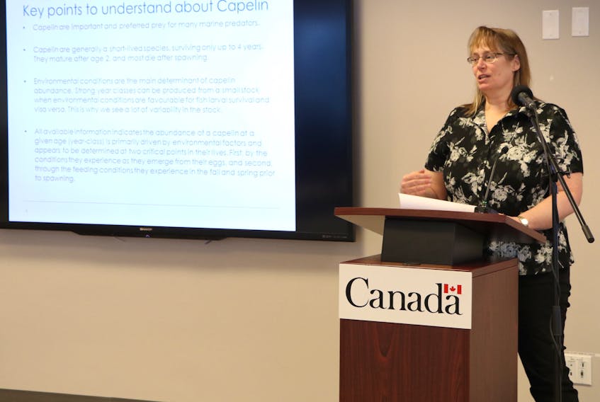 DFO fisheries biologist Fran Mowbray provides an update on the state of caplin stocks to members of the media in St. John’s Monday.