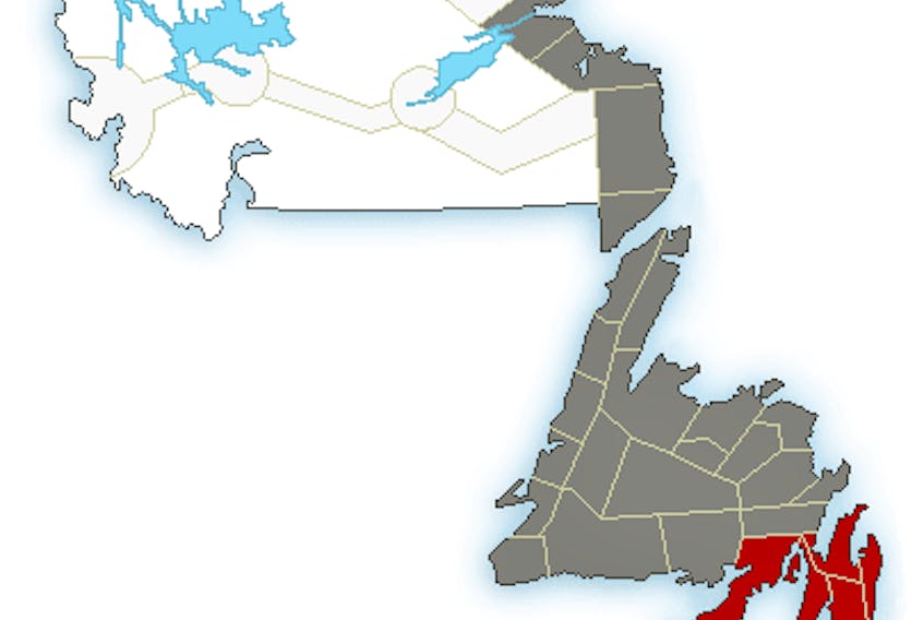 Environment Canada has issued snow squall warnings for the St. John's region and the Avalon and Burin peninsulas.