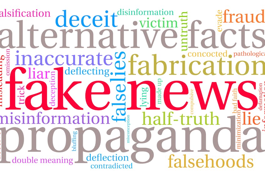 Fake news and other forms of misinformation can be used to try and manipulate elections. —