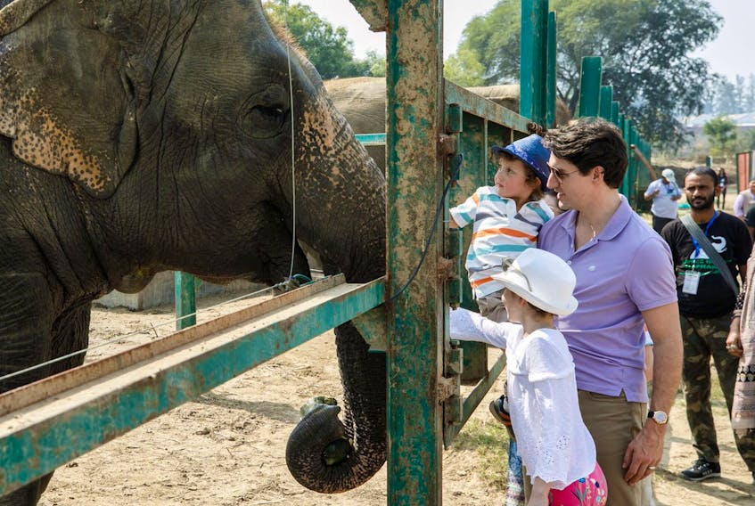 Prime Minister Justin Trudeau visits a non-profit wildlife sanctuary in India with his family, February 2018. — Twitter photo