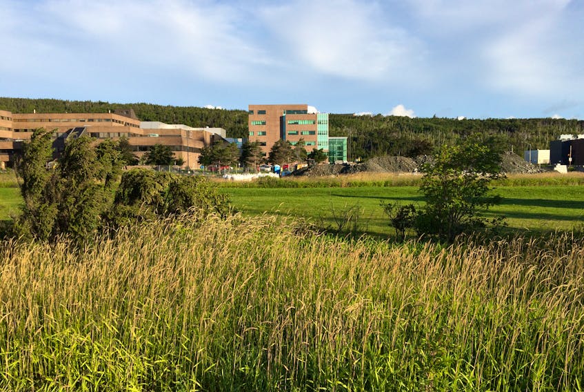 The floodplain area in front of the Health Sciences Centre in St. John's, circa 2017. — Russell Wangersky/The Telegram