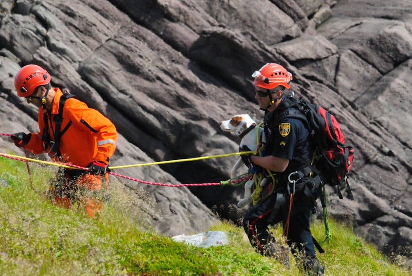 St. John’s Regional Fire Department firefighters Chris George (left) and Eddy Coady make their way up a cliffside in Outer Cove with Finnegan on Wednesday.