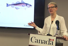 DFO biologist Karen Dwyer says high natural mortality of cod in the area has led to the lowest recorded amount of cod in 3Ps in history.