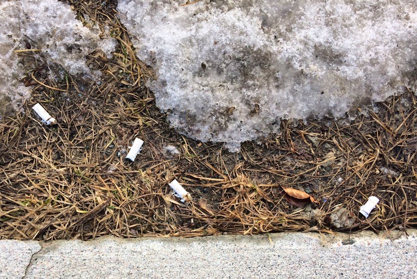 A few discarded cigarette butts out of the thousands. — Russell Wangersky/SaltWire Network