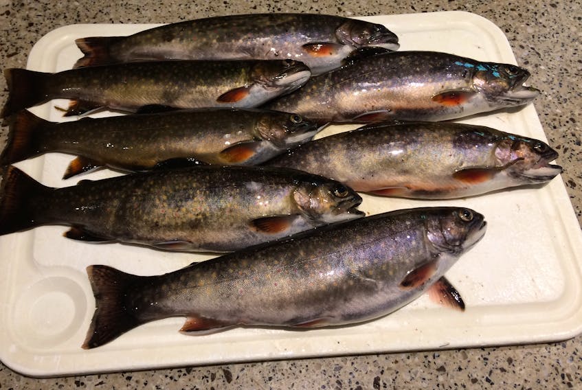 One afternoon’s trout. — Russell Wangersky/Saltwire Network