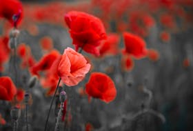 On Remembrance Day, many people observed two minutes' silence. —
