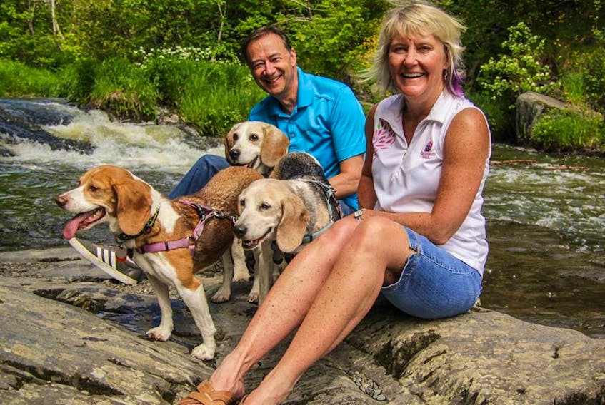 Jamie and Jackie Hutchings with their beagles adopted from Beagle Paws, Joni and Maizy, and their long-term Beagle Paws foster, Mike.