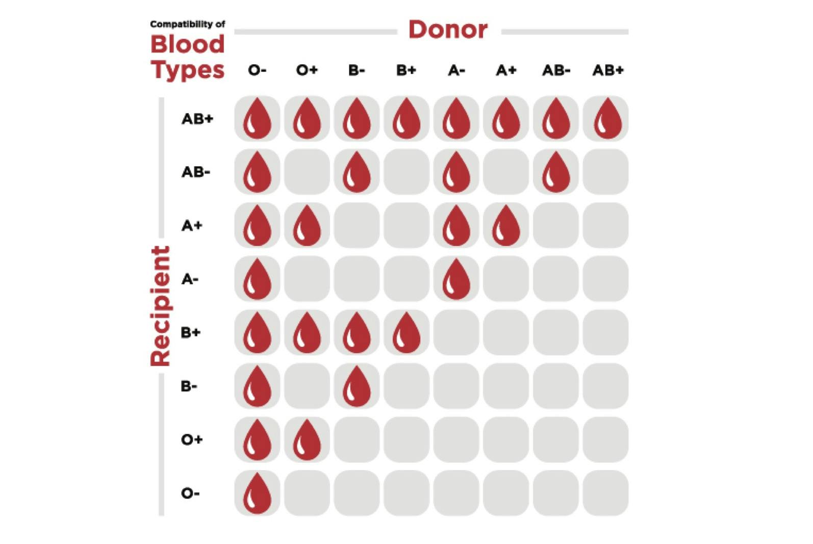 a negative blood type is it rare