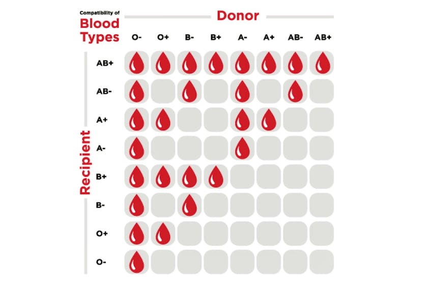 Donating blood is vitally important, as you never know when it will be needed. The following chart shows all blood types and who your donation can help from a compatibility standpoint.