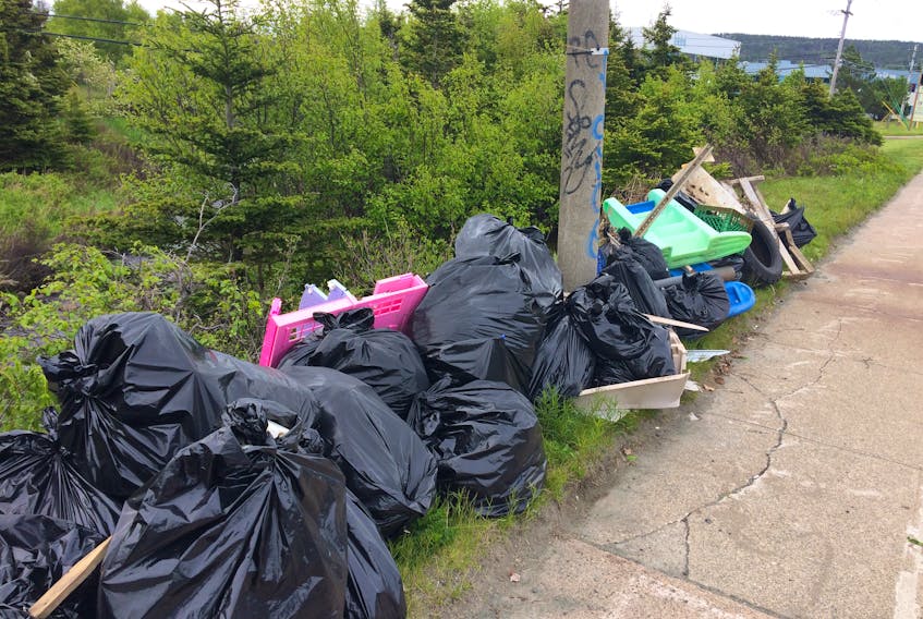 Garbage collected from a tributary of Leary’s Brook, St. John’s, June 21. —