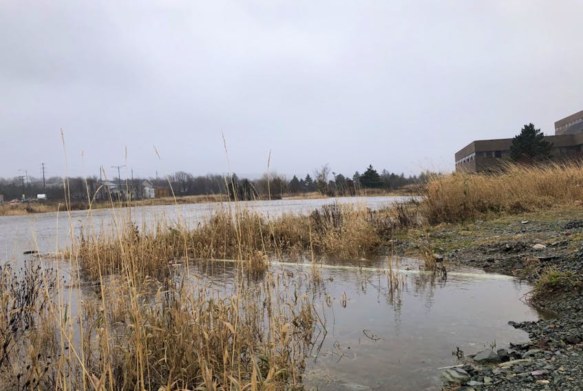 Pond on Leary’s Brook, St. John’s. — Juanita Mercer/The Telegram