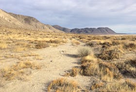 Could you survive the Nevada desert on foot? —