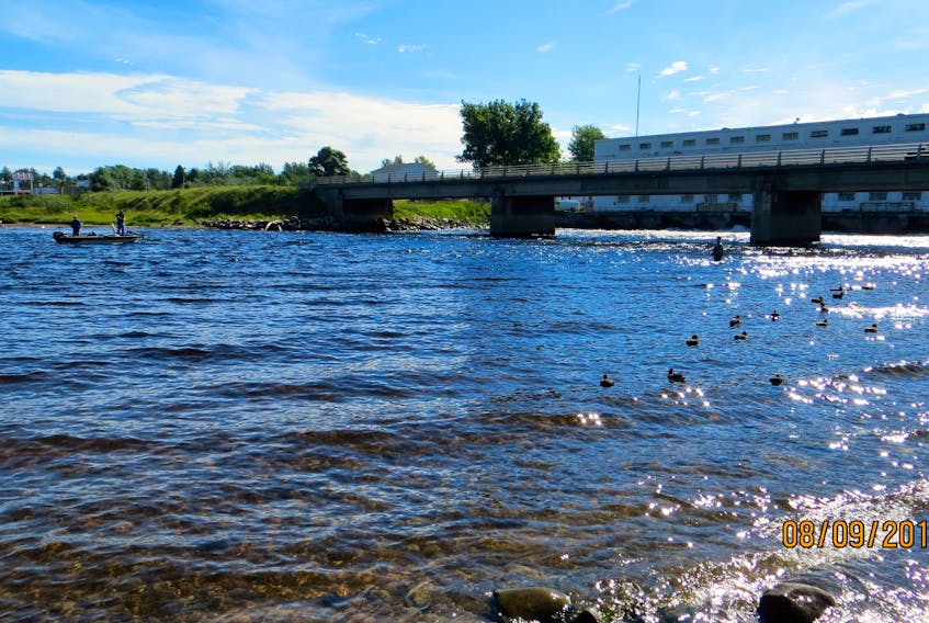 Salmon anglers at the tailrace in front of the powerhouse in Deer Lake. — Robert Sheppard photo
