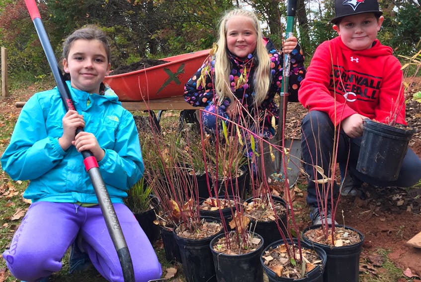 Eliot River Elementary School students Ella Nickerson, left, Rachel Adams and Dylan Drummond were among the many enthusiastic students helping create a pollinator bed at the Terry Fox Trail Enhancement Group project in Cornwall. ALISON JENKINS/THE GUARDIAN