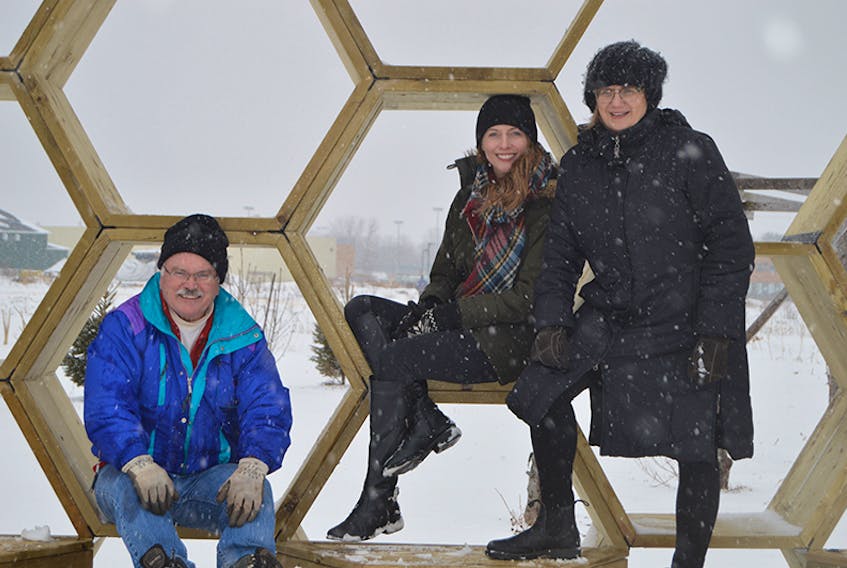 Phase 2 of the bee house project behind the Charlottetown Research Centre involved building this honeycomb-shaped amphitheatre that features seating (not pictured). The site will act as an interpretive centre for schools and anyone else in learning more about honeybees. Grand opening will be in the spring. Pictured are, from left, beekeeper Bruce Smith, and Shallyn Murray, centre, and Silva Stojak of BGHJ Architects of Charlottetown.  ©THE GUARDIAN