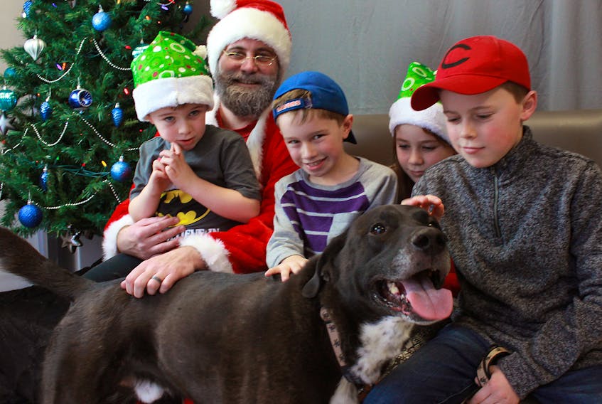 Baiden Jack, right, Hannah Jack, Davis Jack and Henry Jack, who are all cousins, introduce six-year-old mixed lab Garth to Santa during a Christmas social held at the Atlantic Veterinary College for participants in the canine blood donor program. Garth has helped other dogs who have suffered serious injury or are undergoing surgery by giving to the blood program 25 times.