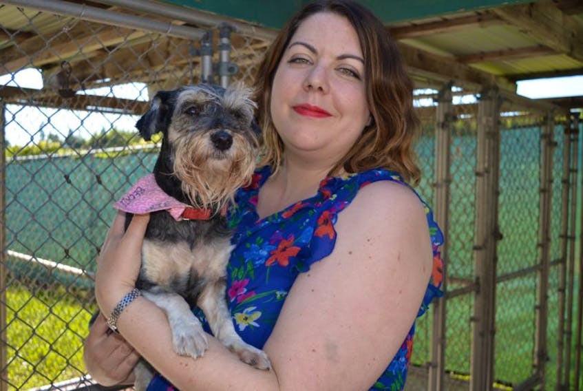 Jennifer Harkness, development co-ordinator with the P.E.I. Humane Society, cuddles up with Beckie, one of the 16 dogs seized from a home breeder in P.E.I. due to unfit living conditions under the new Animal Welfare Act.