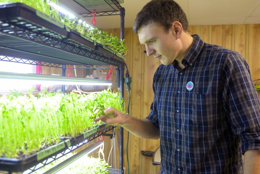 Jordan MacPhee, who operates Maple Bloom Farm, looks over some micro-greens and sprouts he’s been growing throughout the winter. MacPhee is hosting a celebration of Community Supported Agriculture Thursday at Upstreet Craft Brewing, 7-9 p.m.