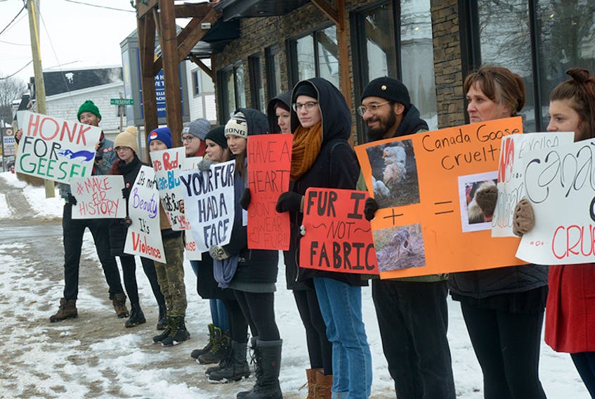 A group holds placards outside of Island Activewear on University Avenue Saturday while protesting against Canada Goose’s use of coyote fur and goose down in their jackets. Wood said the group was one of about 16 throughout Canada participating in national Anti-Fur Day over the weekend.  ©THE GUARDIAN