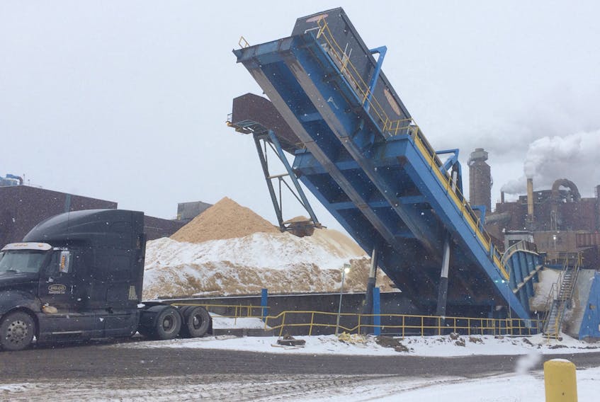 A transport truck unloads a shipment of wood chips at Northern Pulp, near Pictou, N.S., in January 2009.