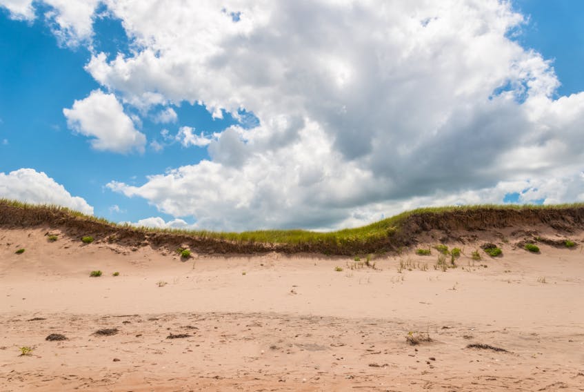 Sand dunes at Brackley Beach- 123RF