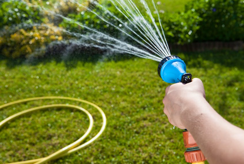 Summer lawn watering restrictions run from June 1 to Sept. 30- 123RF