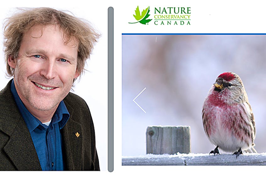 Dan Kraus, is senior conservation biologist with the Nature Conservancy of Canada.  ©THE GUARDIAN