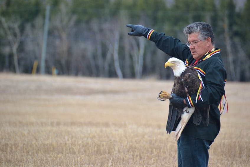 Mi'kmaq elder Junior Peter-Paul points to the sky seconds before the eagle, which was injured and nursed back to health, was released back into the wild in Tracadie Cross on April 25.