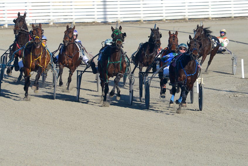 Swingirl with Corey MacPherson at the reins, right, heads for the finish line during Race 4 Tuesday at Red Shores at the Charlottetown Driving Park.