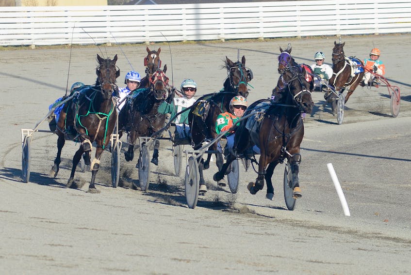 West River Ambyr, with Gilles Barrieau in the bike, leads the pack around the turn during Race 5 Saturday at Red Shores at the Charlottetown Driving Park. Jason Malloy/The Guardian
