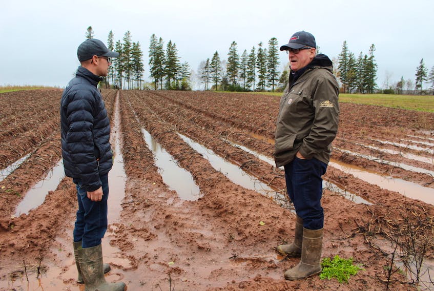 Brett Francis, left, and David Francis assess one of their harvested potato fields, which is covered in mud and puddles from the heavy rain that fell overnight Saturday and into Sunday. The owners and operators of David and Brett Francis Family Farm have not been able to harvest potatoes since last Tuesday due to the wet and cold weather.