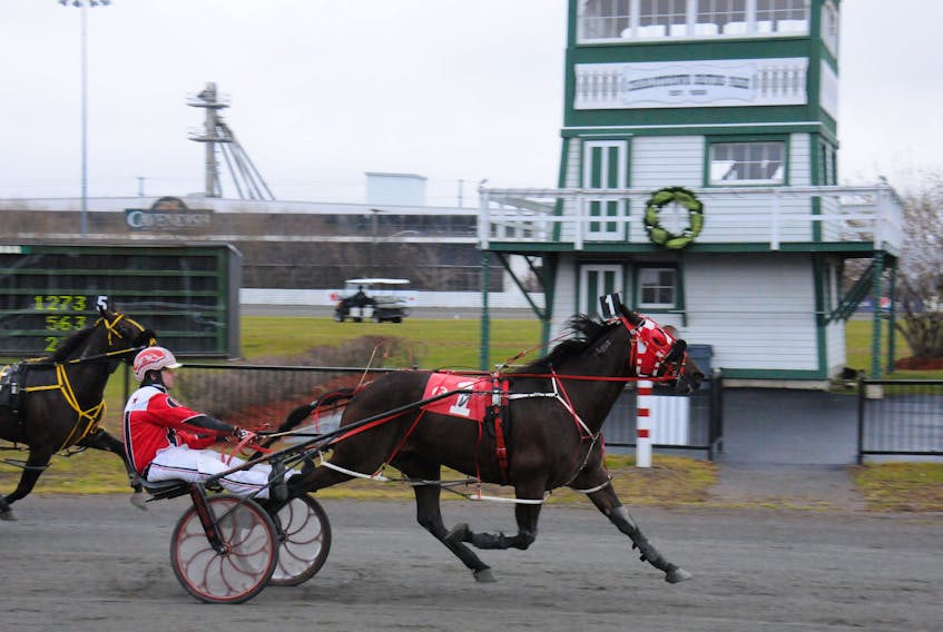 Kyle Gillis drove Top Of The Morning for his first win Sunday at Red Shores at the Charlottetown Driving Park. Gail MacDonald/Special To The Guardian