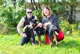 Animal Protection Officer Mike Gilbertson and Jennifer Harkness, development manager with the P.E.I. Humane Society, pose with Jack Daniel, a one-and-a-half year old Rottweiler mix that is ready to be adopted.